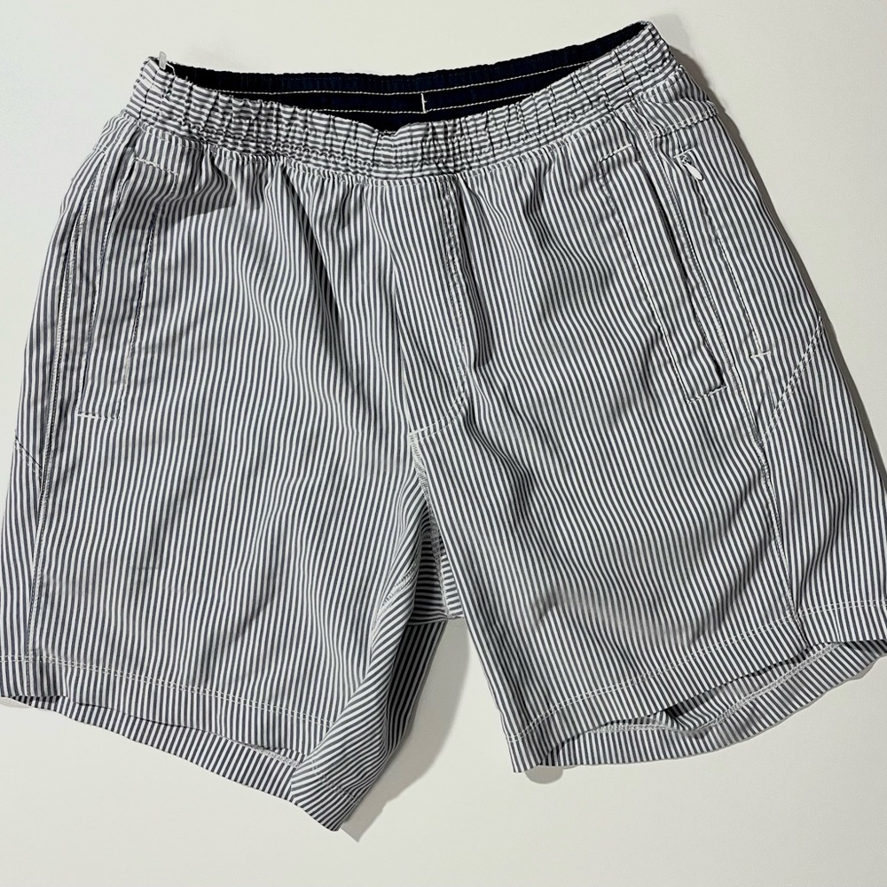 Birddogs Shorts - Blue and White Stripes Flying Wasps